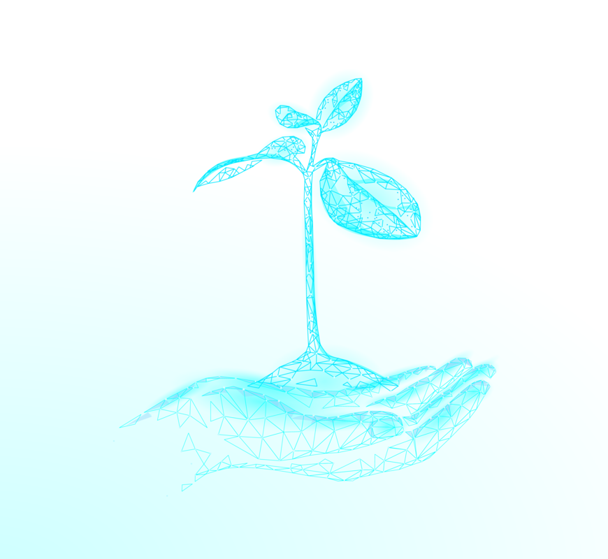 Desarrollo sostenible y medio ambiente